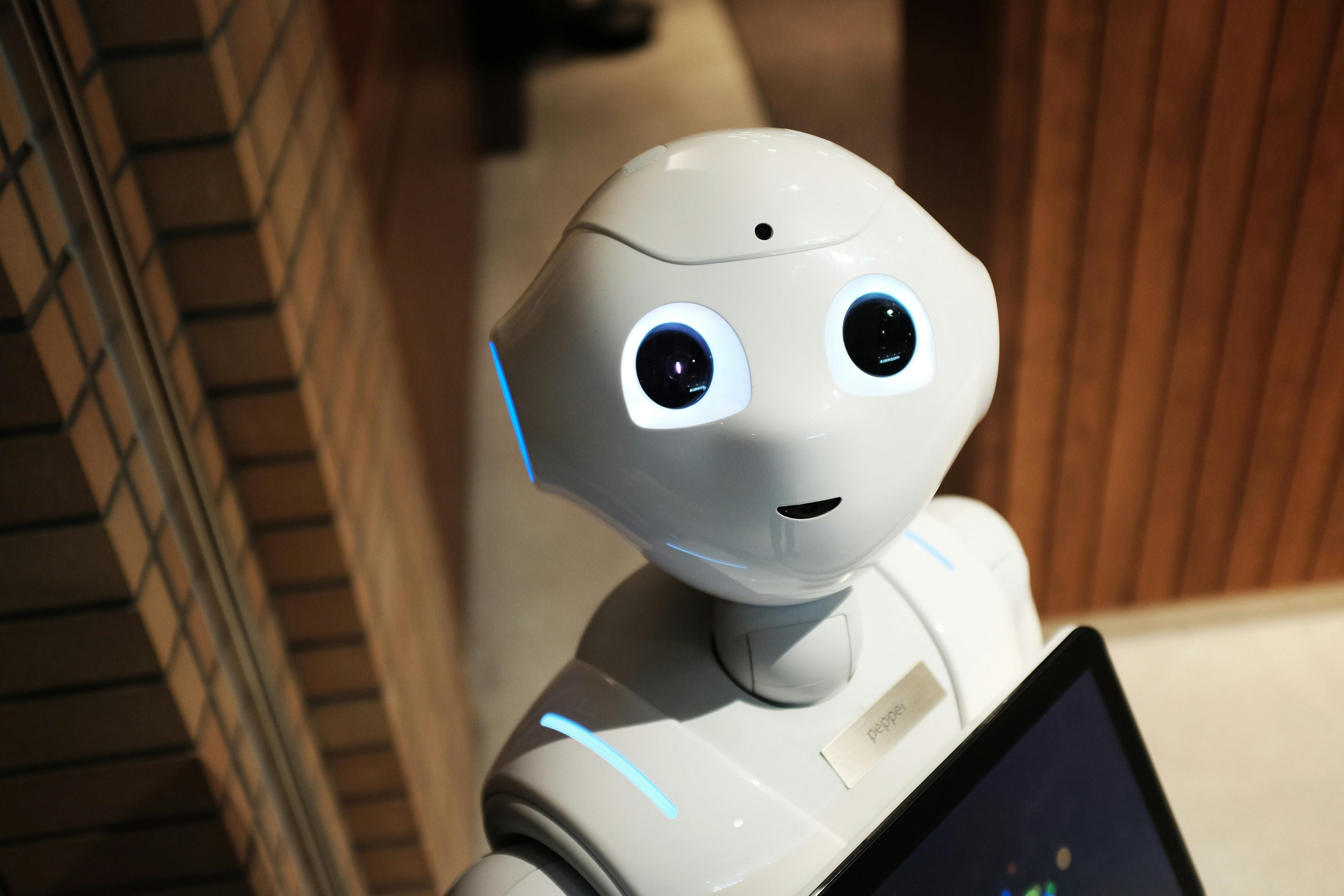 Best Programming Languages to Learn Robotics in 2025